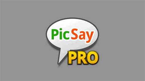 Unduh Aplikasi Edit Foto PicSay Pro di Jalan Tikus: Lebih Dari Sekadar Filter Biasa!